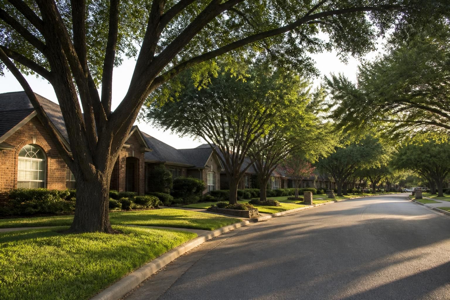 Garland residential street with tidy lawns and warm light.